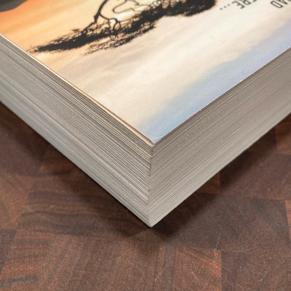 Paperback Bestseller Zoo by James Patterson - Picture 4 of 8